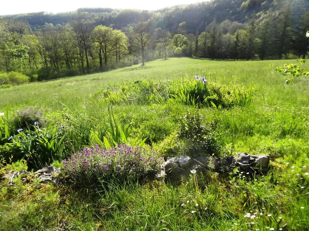 Holiday home Gites Coeur De Lot Soucirac